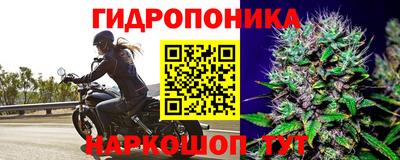 мяу мяу мука Гатчина