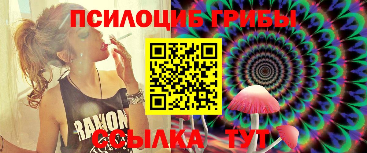 Псилоцибиновые грибы Magic Shrooms Осинники